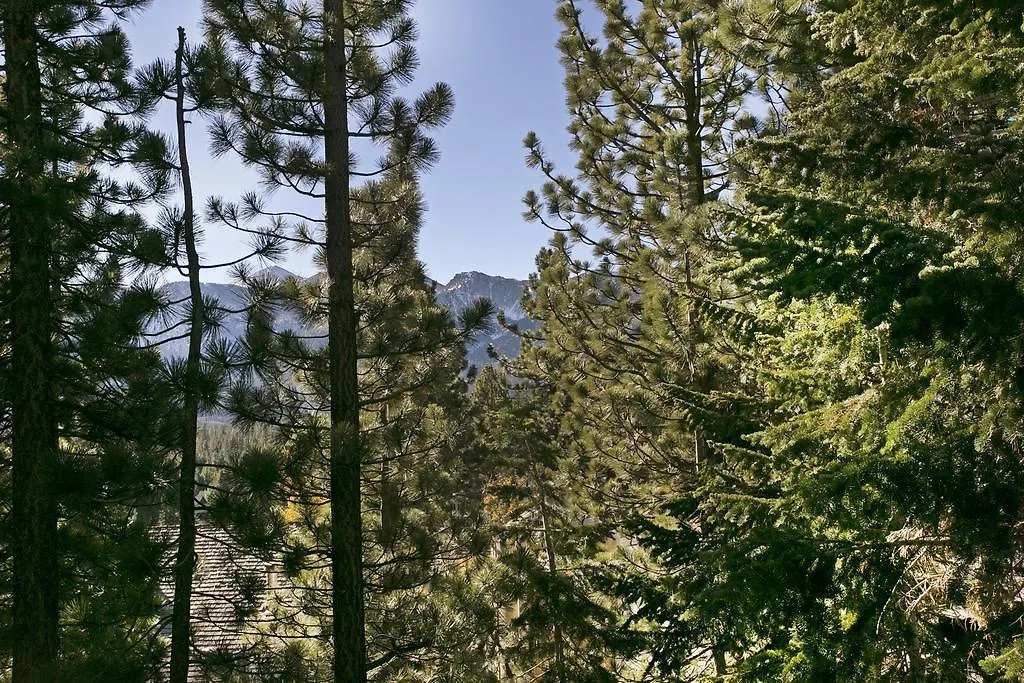 Apartment Mammoth Village Properties By 101 Great Escapes Mammoth Lakes United States